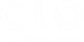 CLO Virtual Fashion